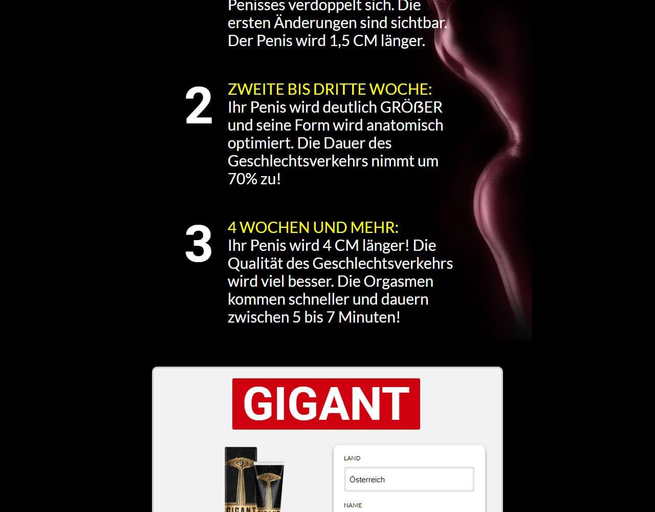 Gigant 4