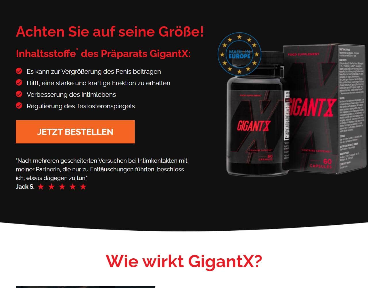 GigantX 1